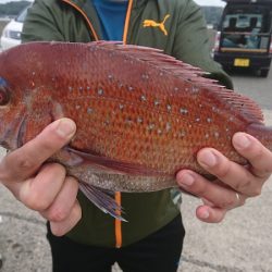 第三共栄丸 釣果