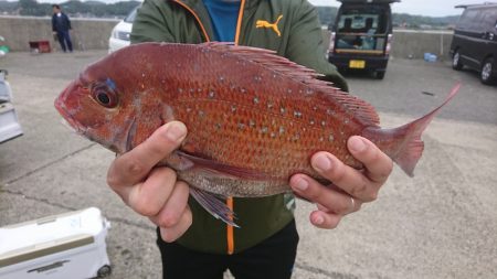 第三共栄丸 釣果