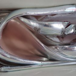 シースナイパー海龍 釣果