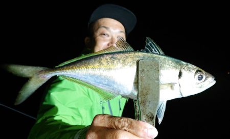 シースナイパー海龍 釣果
