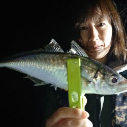 シースナイパー海龍 釣果