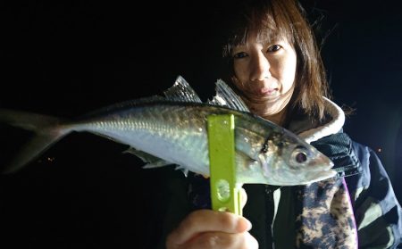 シースナイパー海龍 釣果