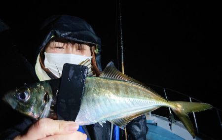 シースナイパー海龍 釣果