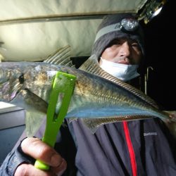 シースナイパー海龍 釣果