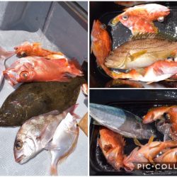 渡船屋たにぐち 釣果