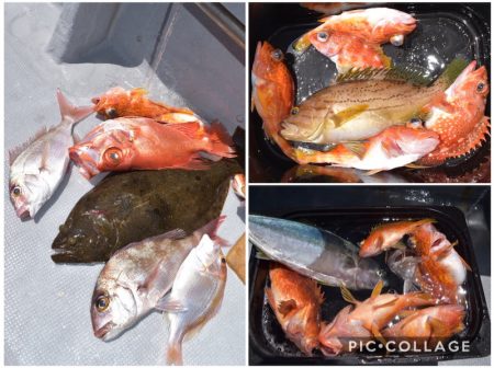 渡船屋たにぐち 釣果