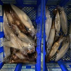 海龍丸（石川） 釣果