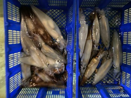 海龍丸（石川） 釣果