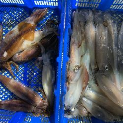 海龍丸（石川） 釣果