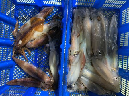 海龍丸（石川） 釣果