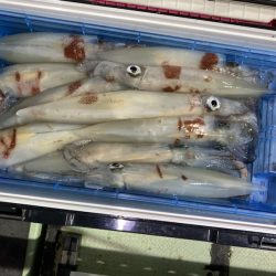 海龍丸（石川） 釣果