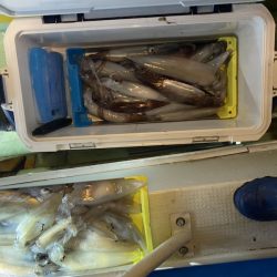 海龍丸（石川） 釣果