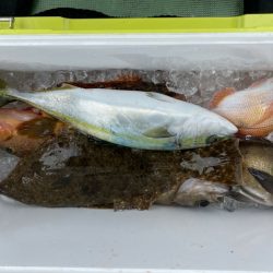 海龍丸(石川) 釣果