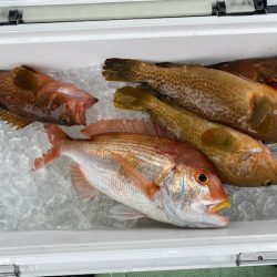 海龍丸(石川) 釣果