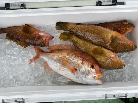 海龍丸(石川) 釣果