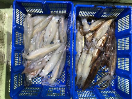 海龍丸（石川） 釣果