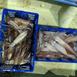 海龍丸（石川） 釣果