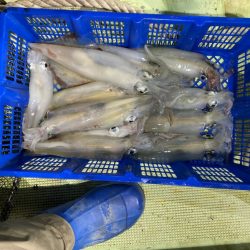 海龍丸（石川） 釣果