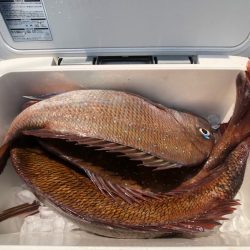 第二八坂丸 釣果