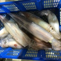 海龍丸（石川） 釣果