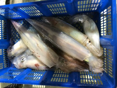 海龍丸（石川） 釣果