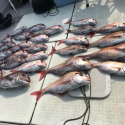 遊漁船メテオ 釣果