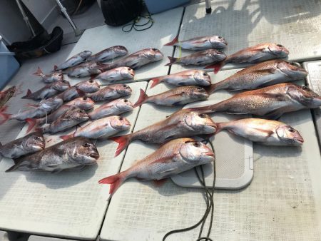 遊漁船メテオ 釣果