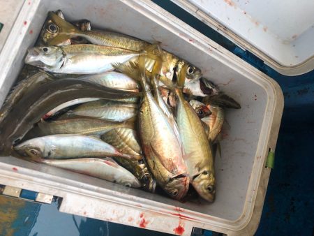 ヤザワ渡船 釣果