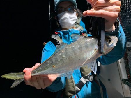エヌスタイル 釣果