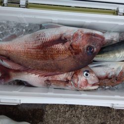 神海丸 釣果