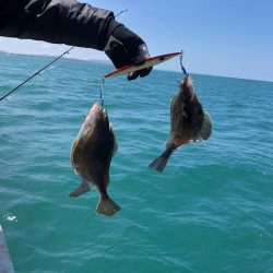 第二　つれたか丸 釣果