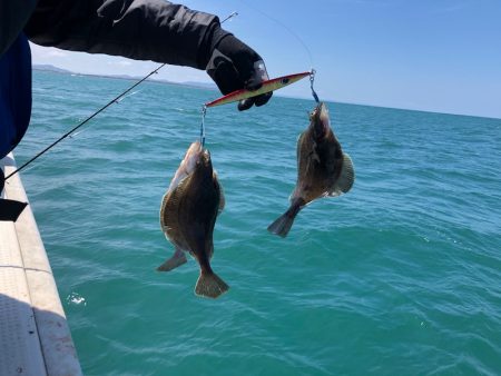 第二　つれたか丸 釣果