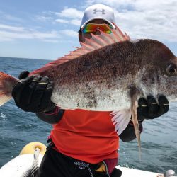 ランスルー 釣果