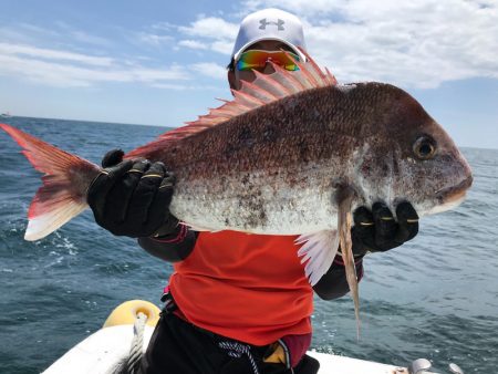 ランスルー 釣果