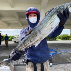ぽん助丸 釣果