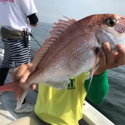 ランスルー 釣果