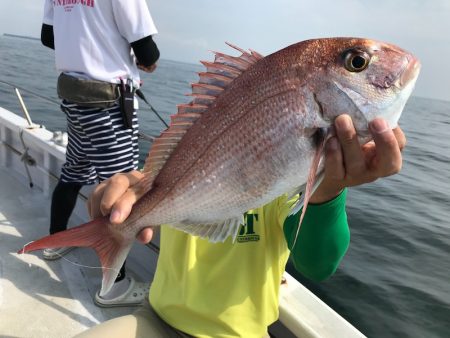 ランスルー 釣果