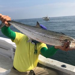 ランスルー 釣果