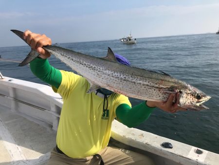 ランスルー 釣果