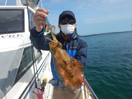 きずなまりん 釣果