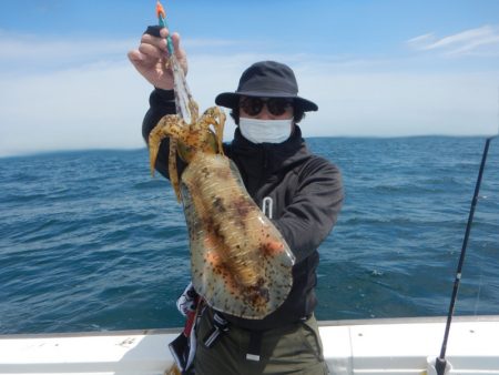 きずなまりん 釣果