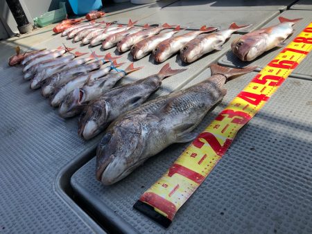 遊漁船高橋 釣果