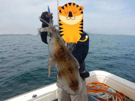 きずなまりん 釣果