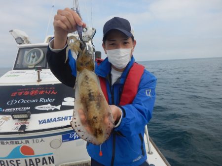 きずなまりん 釣果