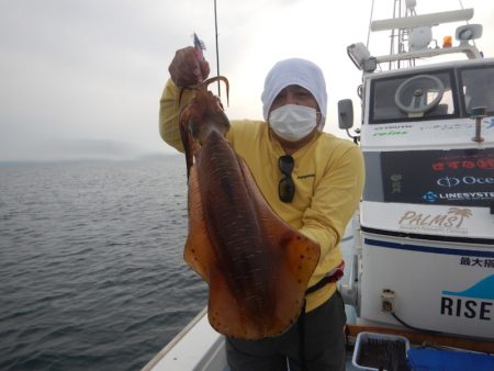 きずなまりん 釣果