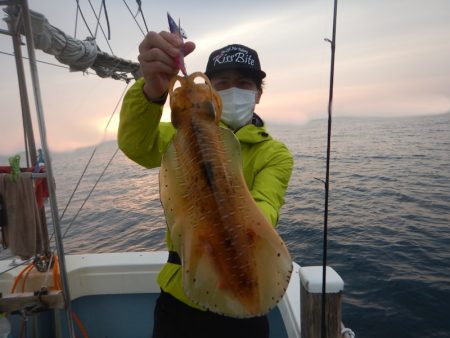 きずなまりん 釣果