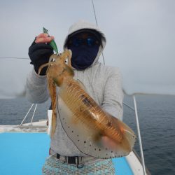 きずなまりん 釣果