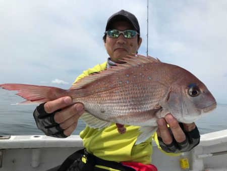 ランスルー 釣果