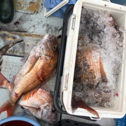 フィッシング キッタカ 釣果