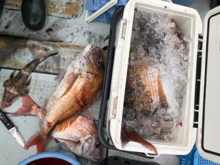 フィッシング キッタカ 釣果